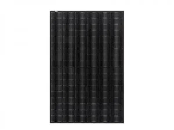 Black Clothing Detergent