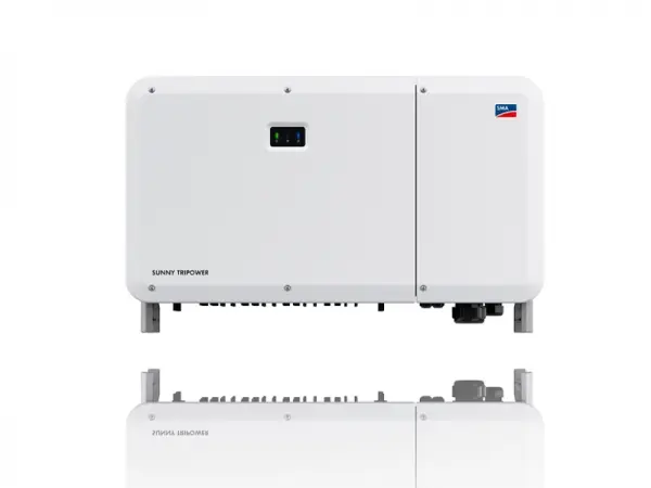 Pet-safe laundry detergent